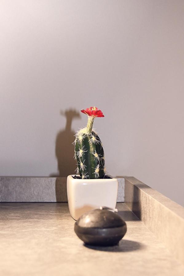 Gabry Central Apartment Palermo Bagian luar foto